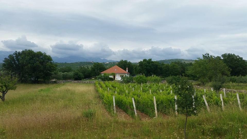 Holiday House Tunjarice โอเบรอควาซ ภายนอก รูปภาพ